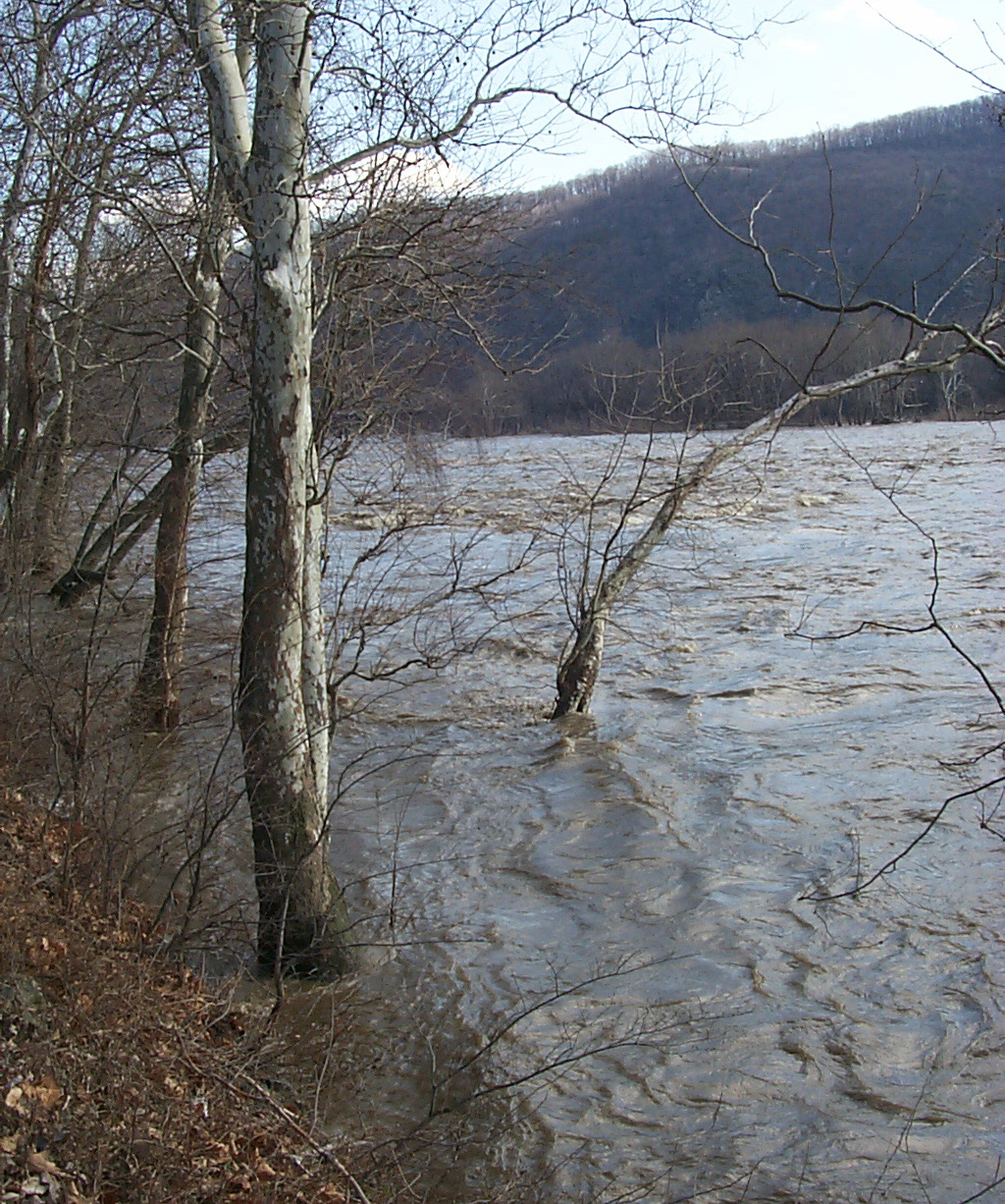 South Central Washington Flooding